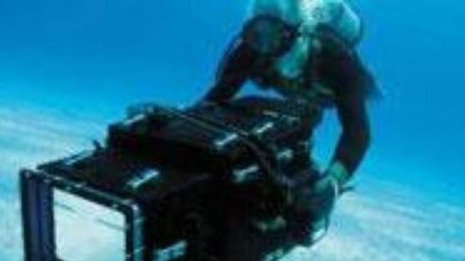 O čem je film Velké podmořské dobrodružství 3D