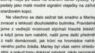 Ukázka z knihy Marley a já
