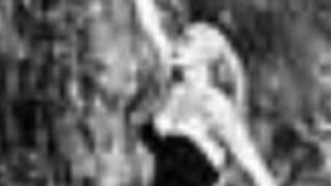 Co obsahuje DVD Sladký život