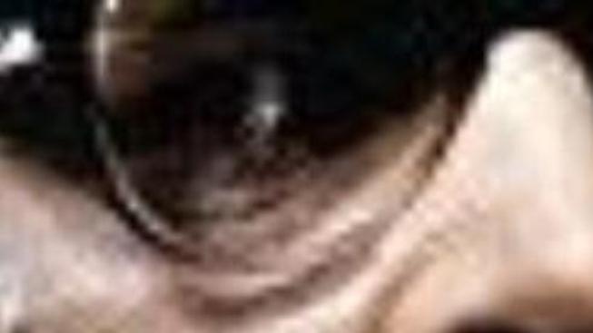 Co obsahuje DVD Kdo se bojí Virginie Woolfové?