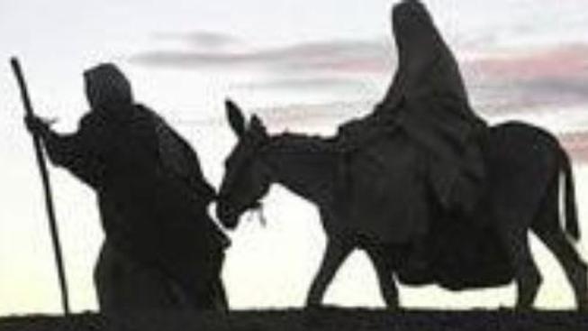 Příběh zrození – preview