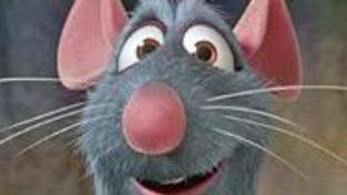 Ratatouille