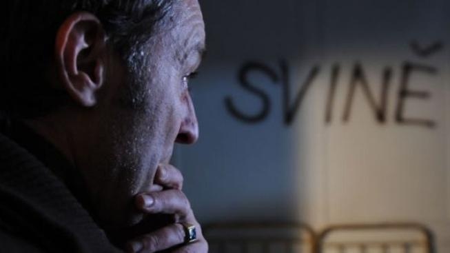 Nejvíce Cen české filmové kritiky získal snímek Pouta