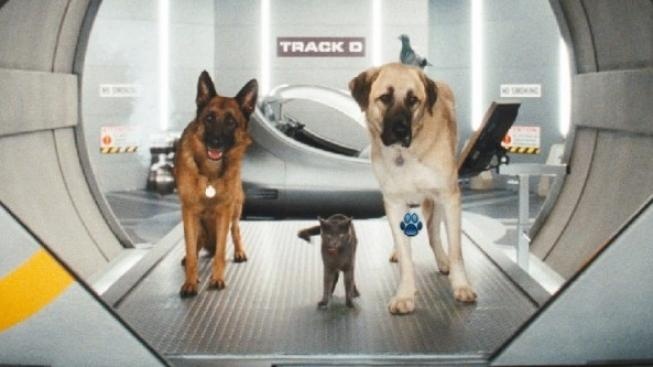 Jako kočky a psi: Pomsta prohnané Kitty