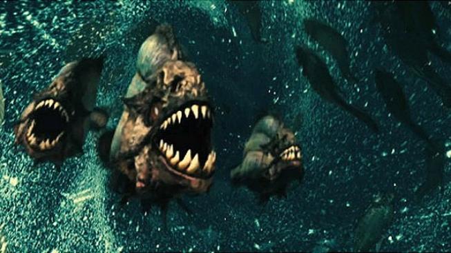 Tvůrci snímku Piranha 3D plánují pokračování