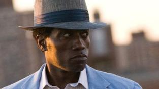 Wesley Snipes je na tři roky ve vězení