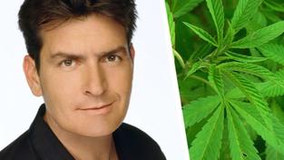 Odrůda marihuany nazvaná Charlie Sheen se stala novým hitem v USA