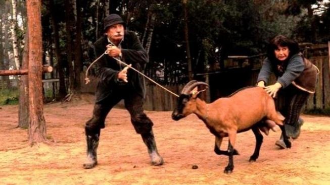 Hrnec smíchu získala komedie Westernstory, cenu poroty Fimfárum