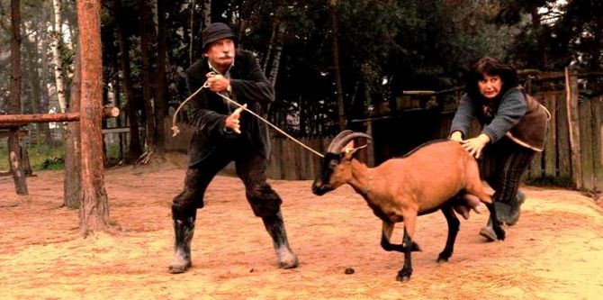 Westernstory