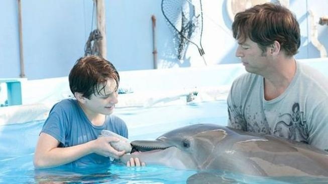 Rodinný film Můj přítel delfín byl jedničkou v amerických kinech