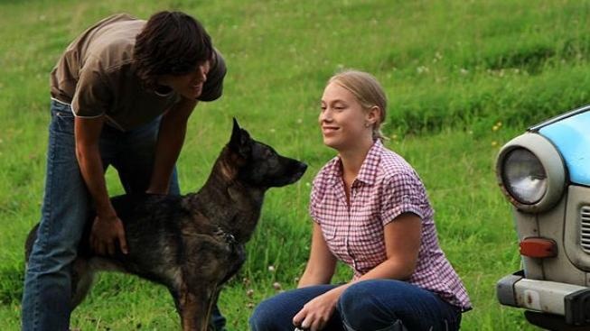 Film Láska je láska vede v návštěvnosti českých kin