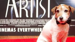 Teriér Uggie dostal cenu pro filmové psy za snímek The Artist