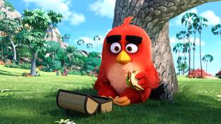 Film Angry Birds vlétne do kin v květnu příštího roku