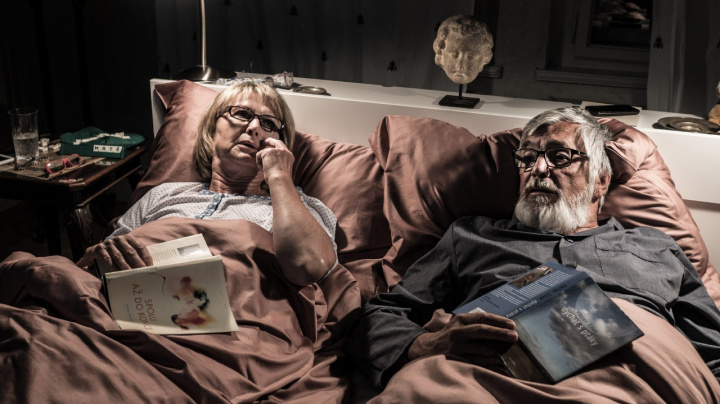 Teorie tygra - recenze české hořké komedie s Bartoškou