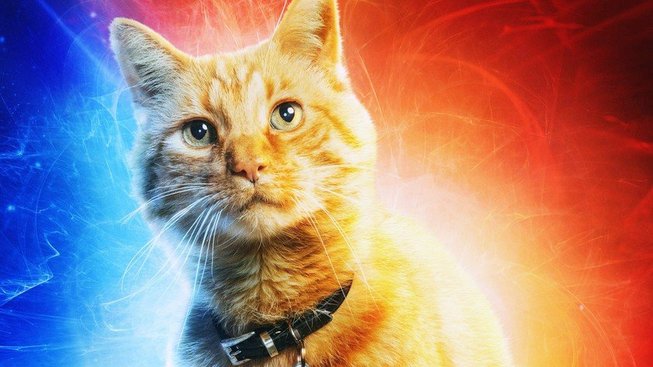 Většina záběrů kočky z Captain Marvel je kompletně digitálních