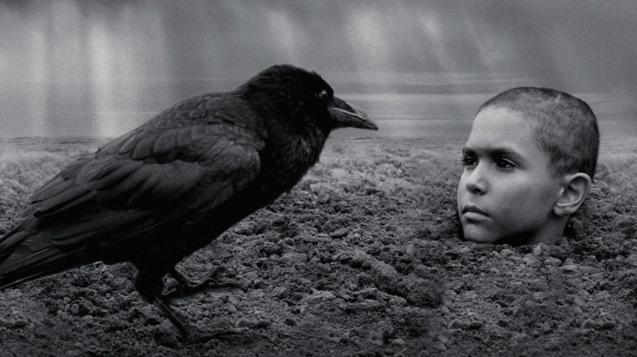 Recenze: Nabarvené ptáče – krutá nádhera