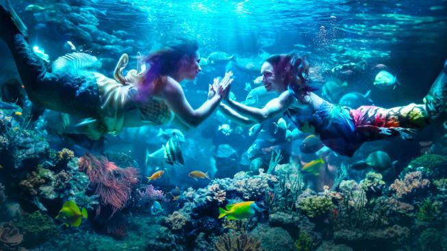 Netflix chystá dokument o „reálných“ mořských pannách